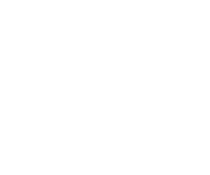 lipsindia logo white png (1)